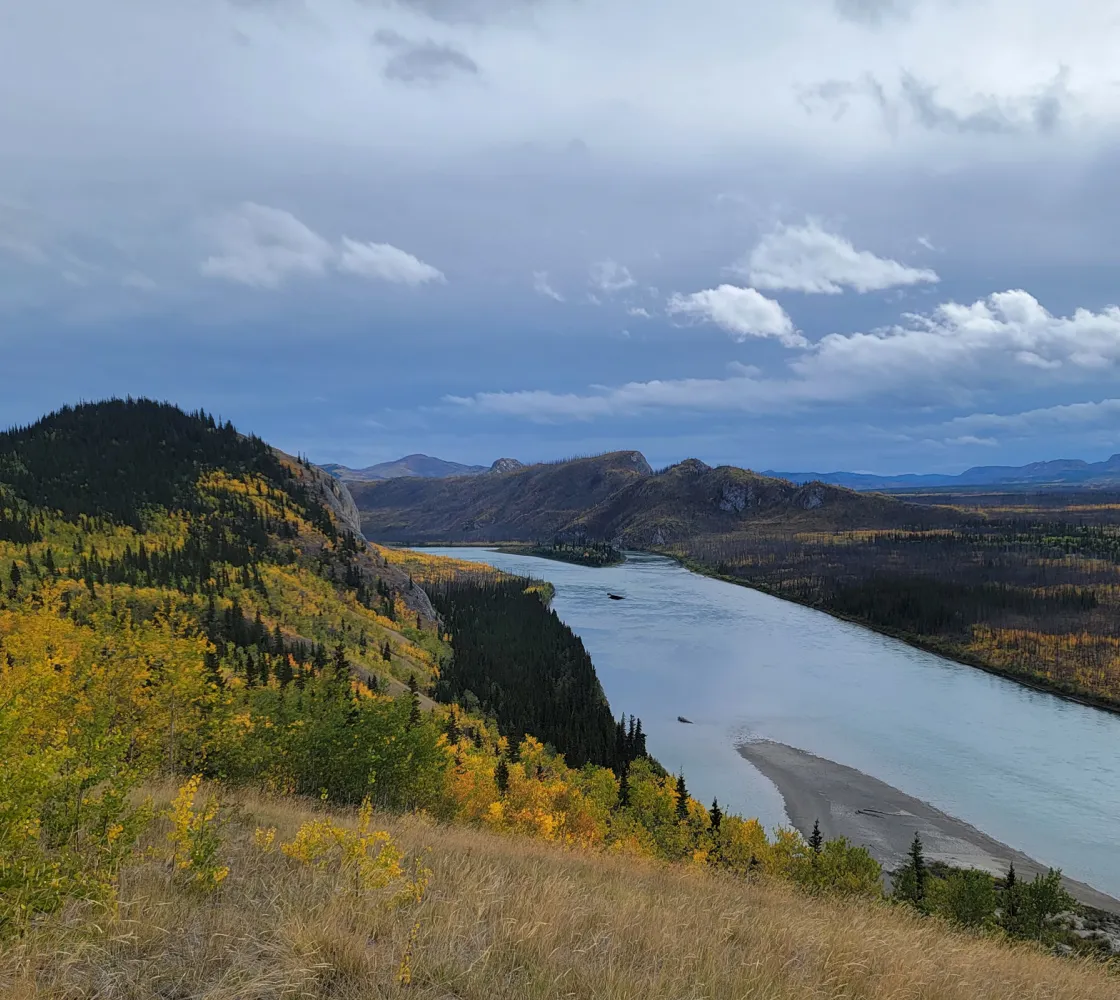 A scenic view of a winding river cutting through a vast landscape with forested hills in the background. The trees exhibit fall colours, transitioning from green to shades of yellow. The sky above is cloudy, casting a serene atmosphere over the scene.