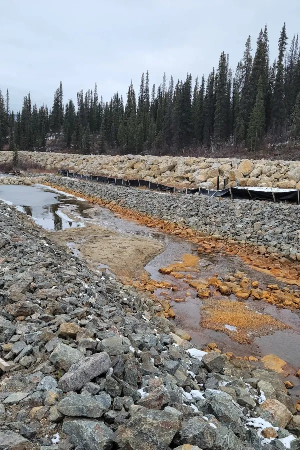 Image depicting a rocky shoreline with a small, rocky stream. Rust-colored deposits are visible in the water, and a line of large boulders separates the creek from a treeline of evergreen trees in the background. The sky is overcast.