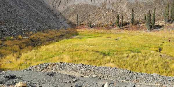 A dry, rocky valley with a patch of green, grassy vegetation in the centre. Sparse trees and shrubs dot the landscape, and the hillsides are covered in loose rocks and gravel. The terrain appears rugged and desolate, with a mix of muted earth tones.