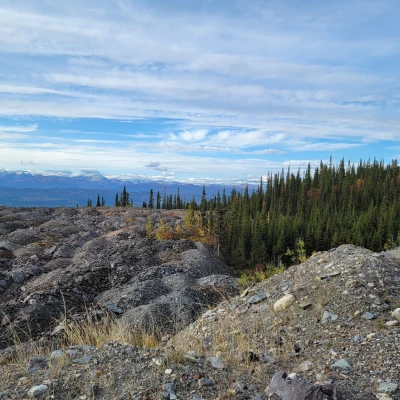 A rocky landscape with sparse patches of grass and small shrubs, leading to a dense forest of evergreen trees. In the background, snow-capped mountains and a partly cloudy sky can be seen.